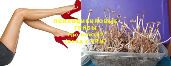 мяу мяу мука Арсеньев
