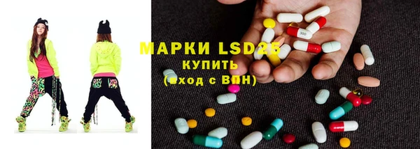 крисы Алексин